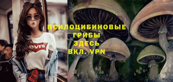 a pvp Пролетарск