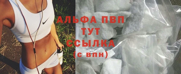 СК Аркадак