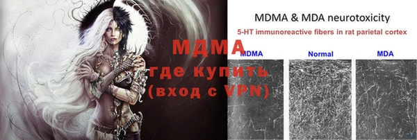 СК Аркадак