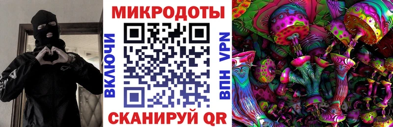 продажа наркотиков  Пущино  Псилоцибиновые грибы GOLDEN TEACHER 